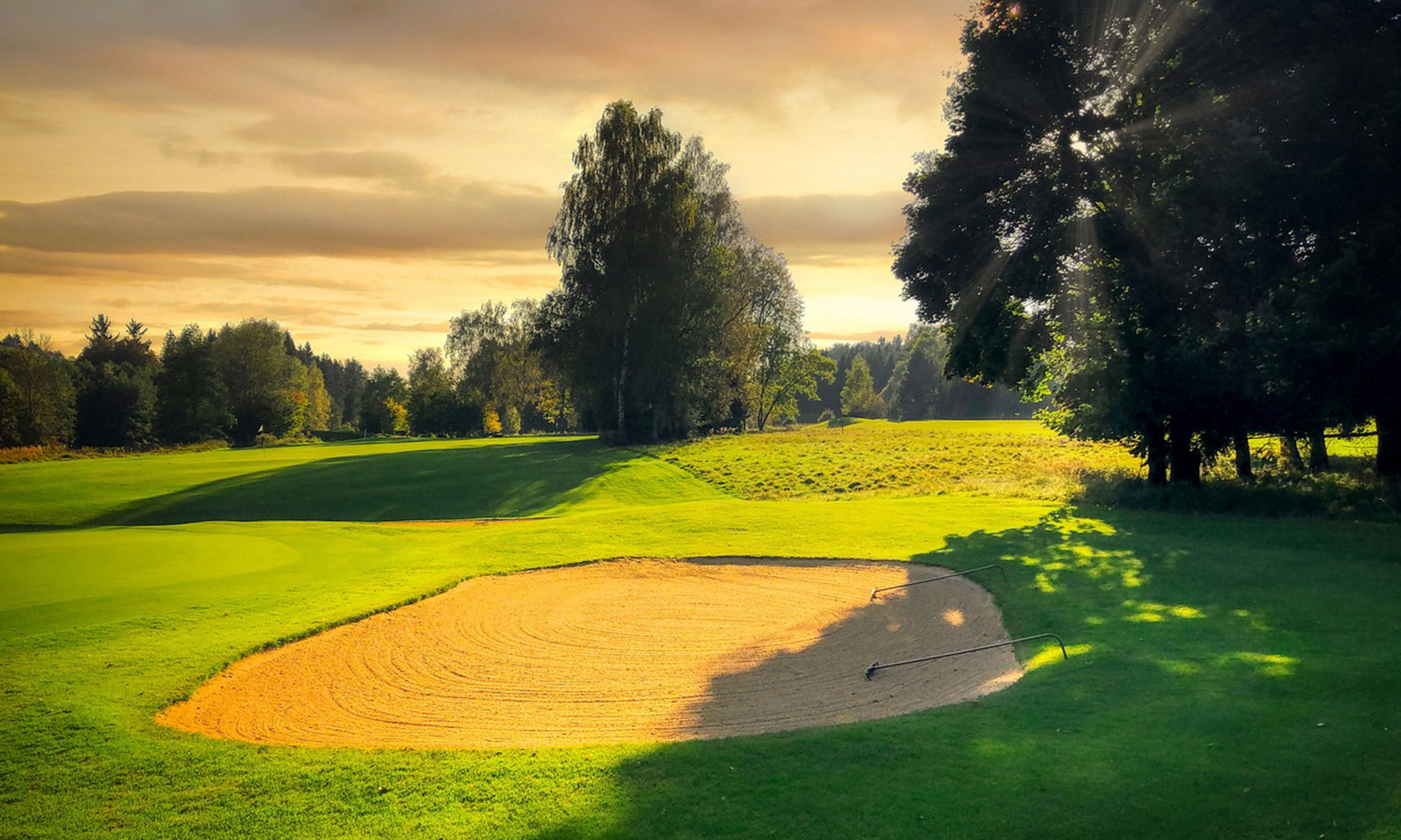 Infos rund um BMI International